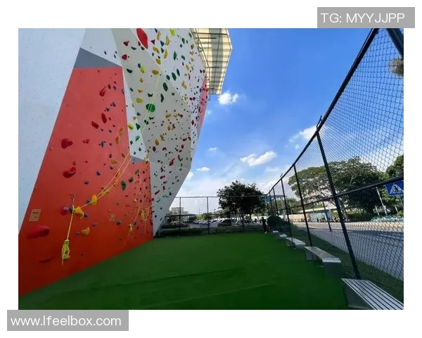 广州攀岩队转型之路探索极限运动嘉年华的全新可能性